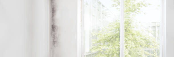 Best Forensic Mold Investigation  in Monmouth, OR